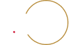 UAE Logo